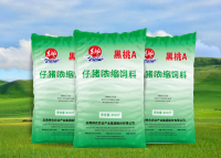 东方红-黑桃A仔猪浓缩饲料