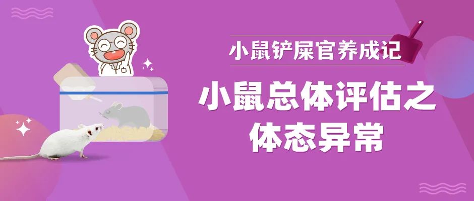 封面2.jpg