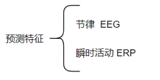 脑电,事件相关电位,ERP,脑电仪,BP