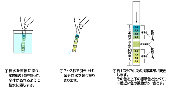 phg-bcg-hakarikata