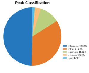 蛋白因子富集峰（peak）注释