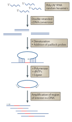 RNA-seq实验示意图_RNA sequencing advances, challenges and opportunities.png