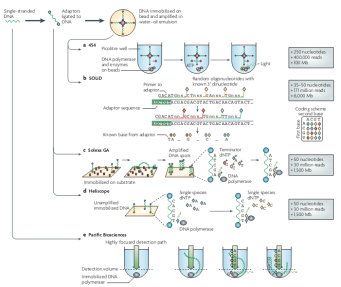 不同公司的测序原理_Application of 'next-generation' sequencing technologies to microbial genetics.png