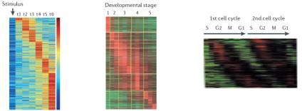 RNA-seq时序分析示例_Studying and modelling dynamic biological processes using time-series gene expression data.png