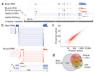 RNA-seq表达值计算图片.jpg