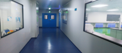 A hallway with blue doors

Description automatically generated with low confidence