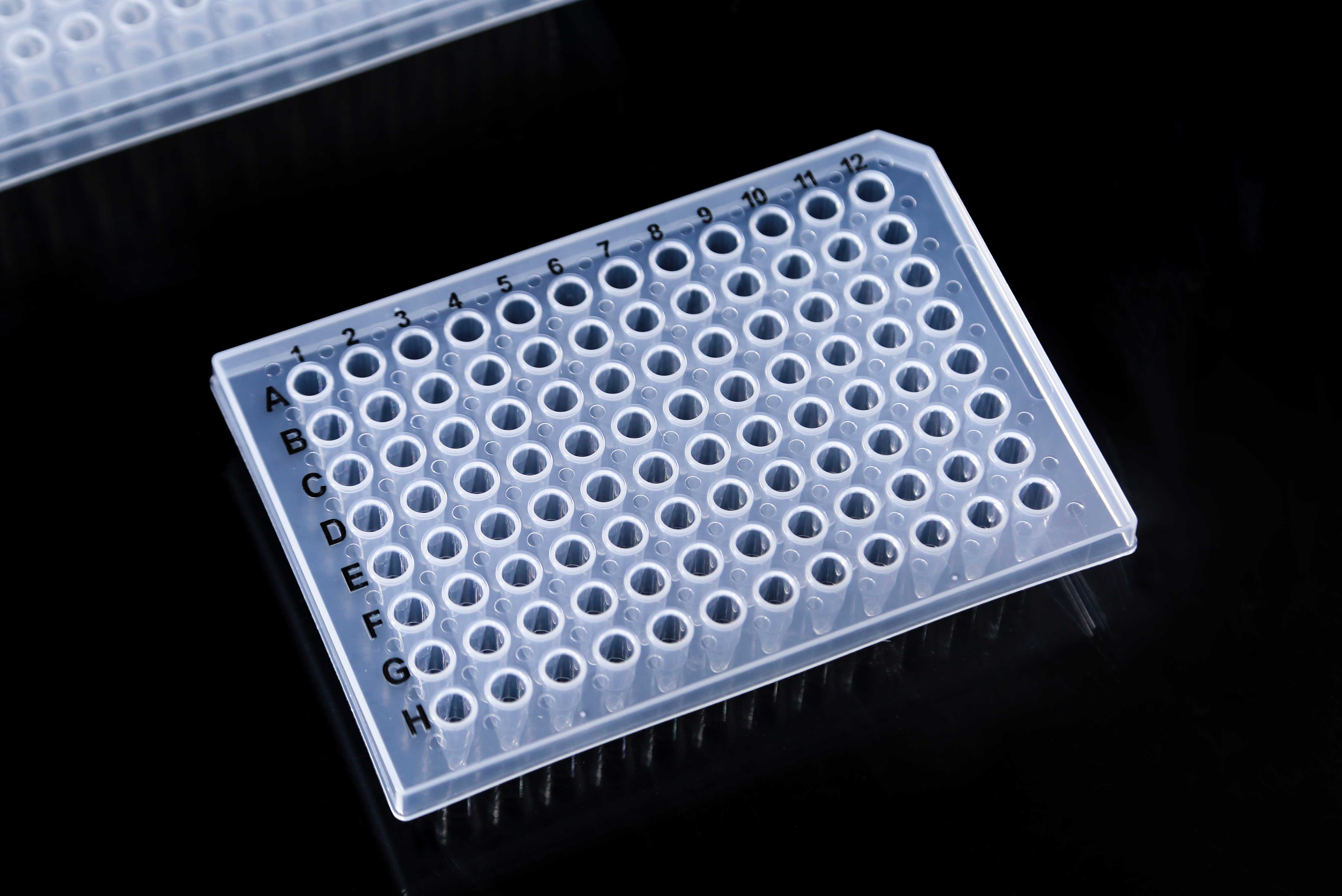 PCR管板-96孔板-96孔PCR板