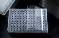 PCR管板-封板膜-3M8A1347