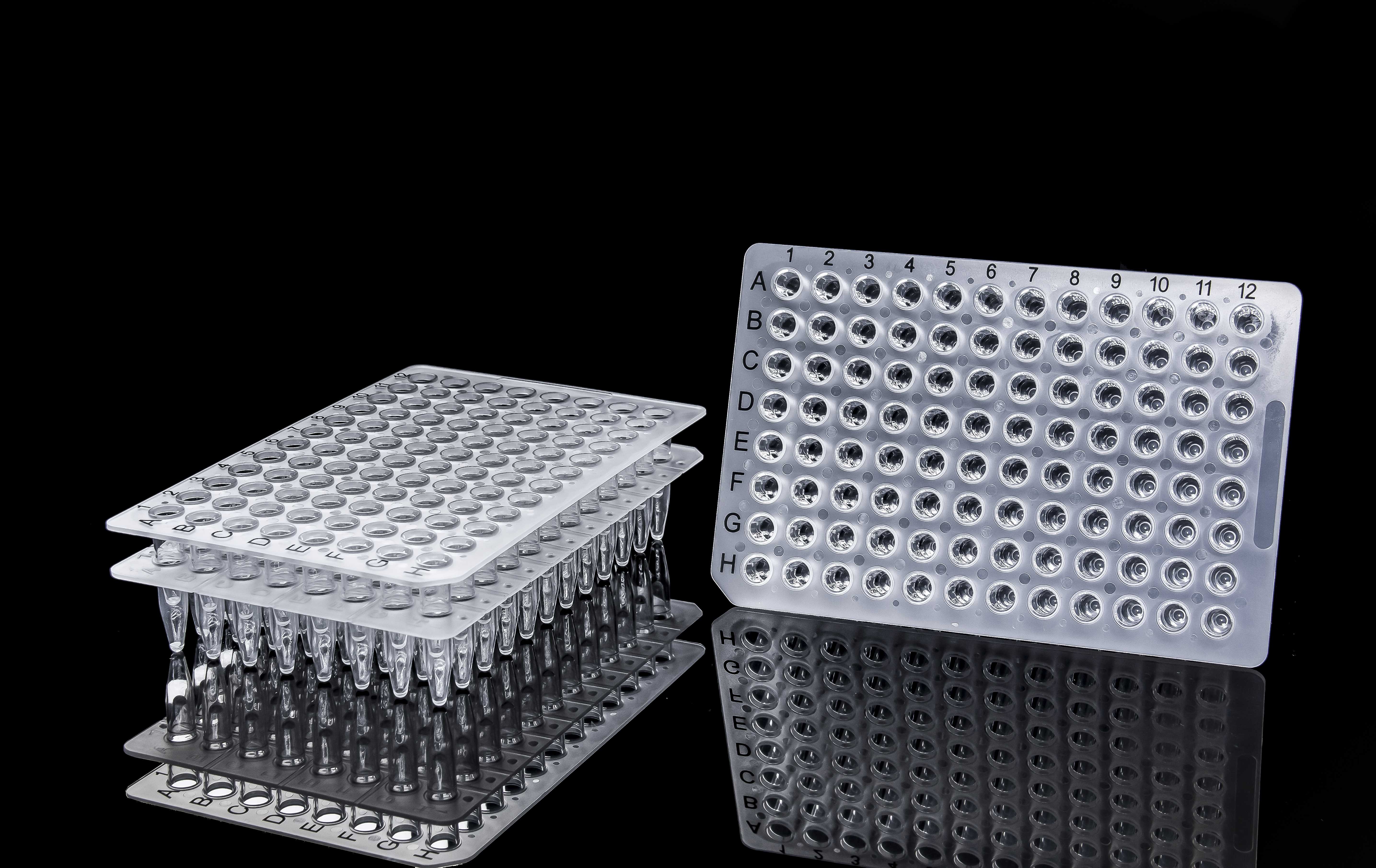 96孔PCR板-无裙边-印刷1