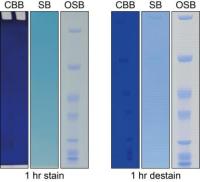 One-StepBlueProteinGelStain