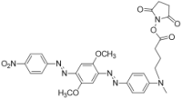 BHQ-1NHSEster