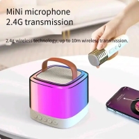 mini-011-2