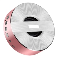 mini-013-1