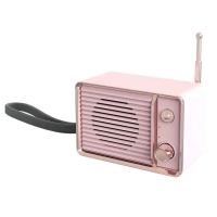mini-016-10
