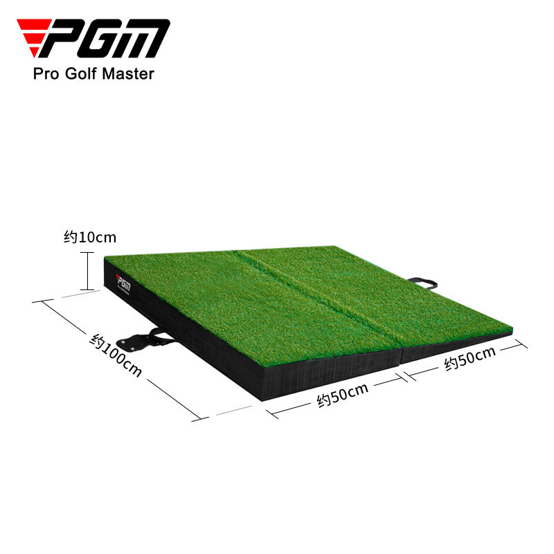PGMDJD041-5