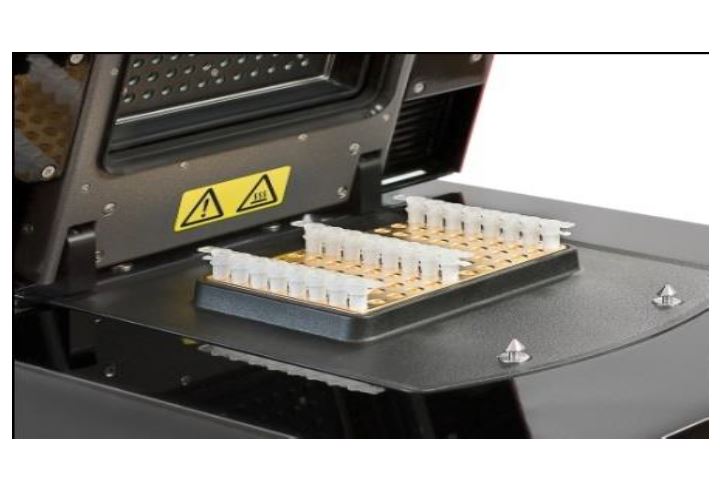 QPCR2