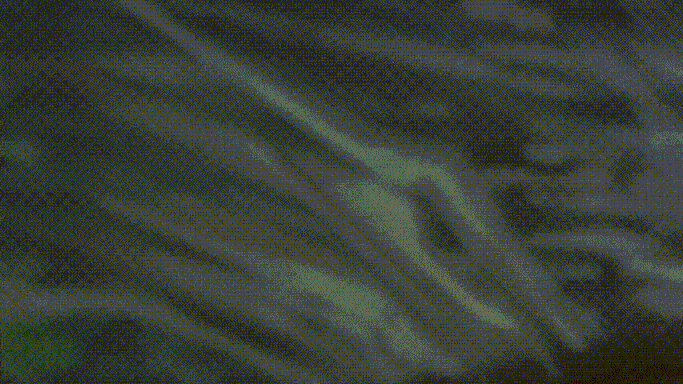 8.gif