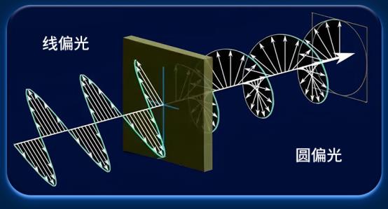 微信图片_20250520091738_05