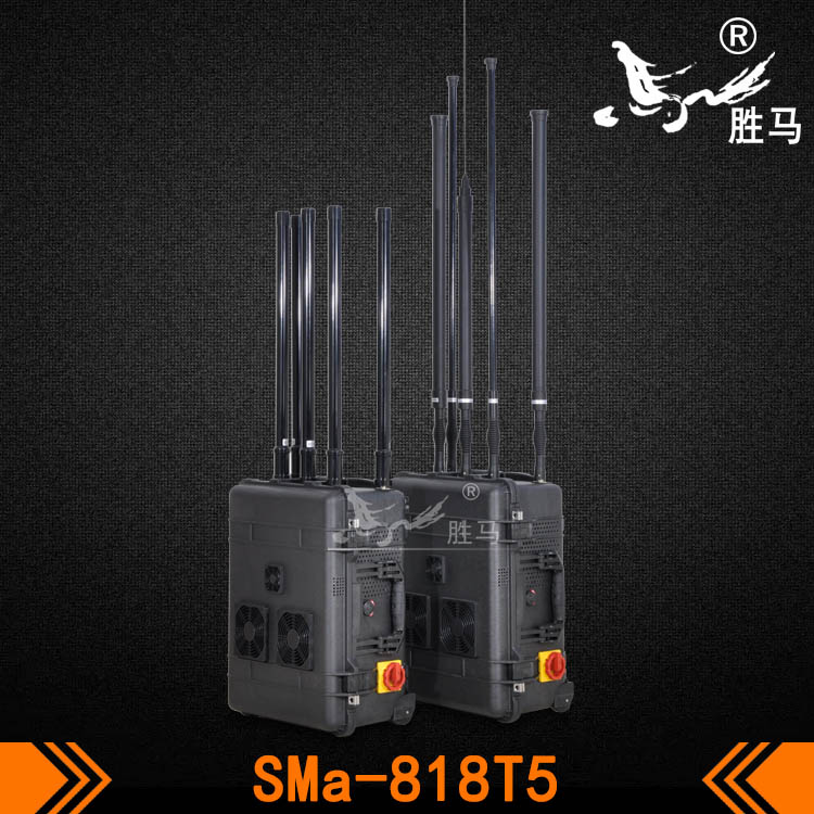 SMa-818T5-3