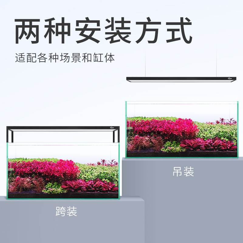 5s主图-800X800主图3
