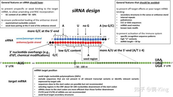 治疗性siRNA: 最新进展和未来展望-北京合邦兴业科学仪器有限公司