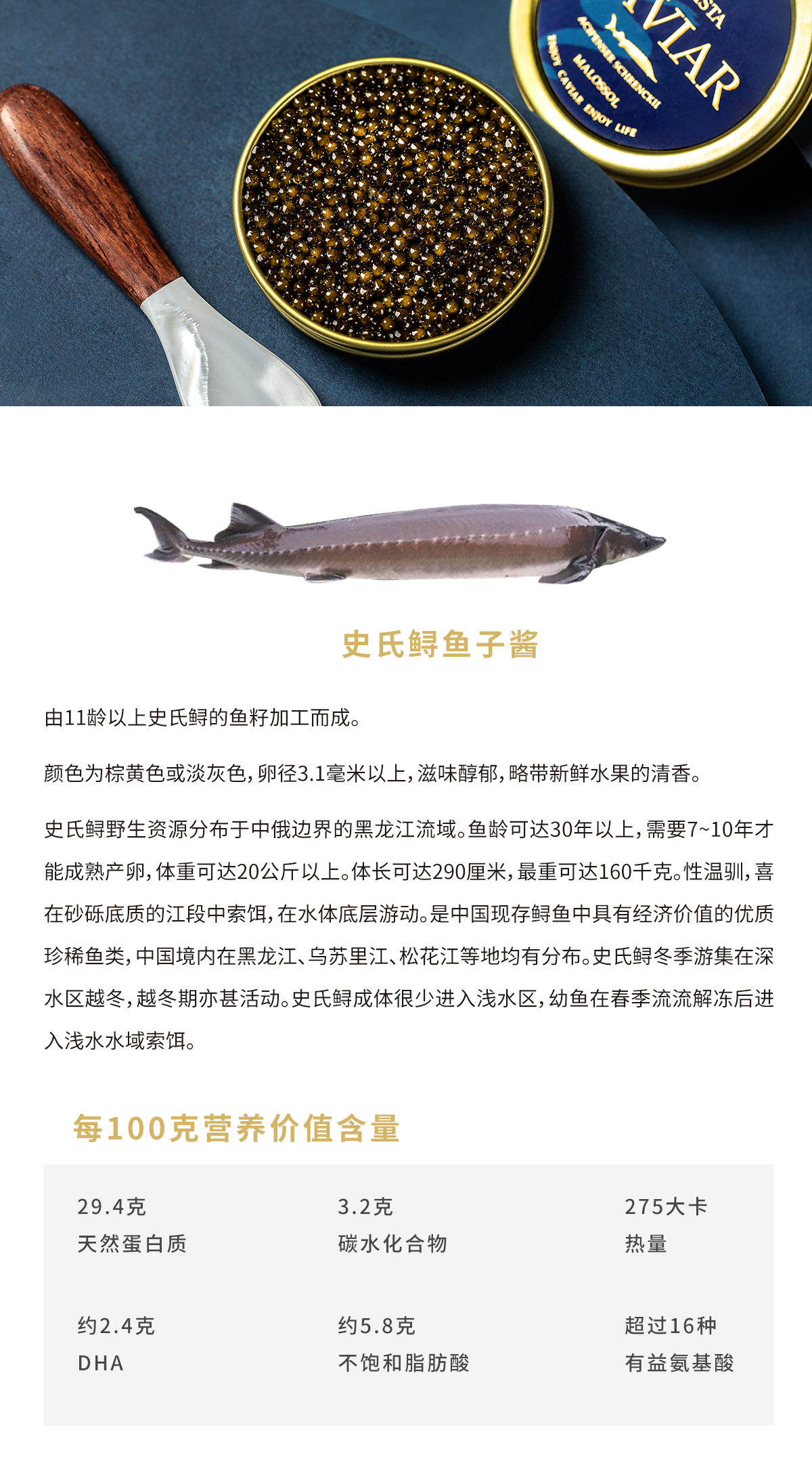 鱼子酱的自由__凤凰网