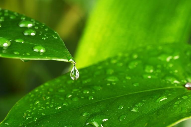 今日寒露 袅袅凉风动，凄凄寒露零企业官网