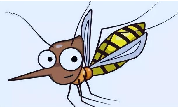 5個夏季驅蚊小妙招，幫你輕松度過夏天！