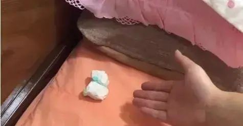 夏天蚊子多很煩人？三個驅蚊小妙招用起來！