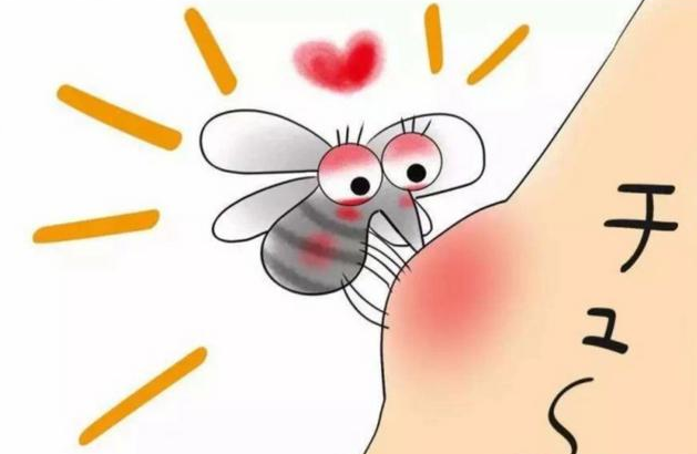 讨厌蚊子，竟然还有这三点令人意想不到的好处！