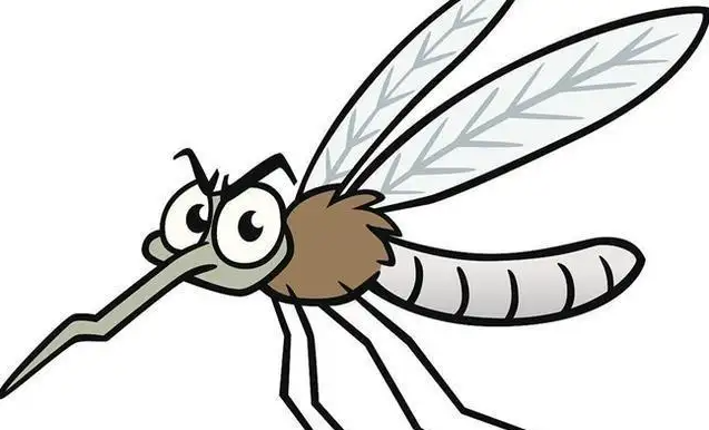 夏天到了，蚊子多了，如何有效防蚊虫叮咬