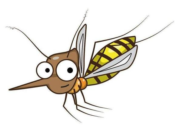 夏天如何防蚊子？對付蚊子的方法