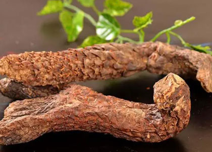 十大补肾壮阳的中药材大盘点-享久品牌运营商