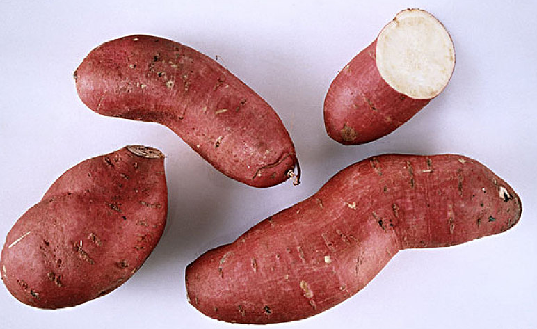 生吃红薯会不会中毒 生吃红薯的危害