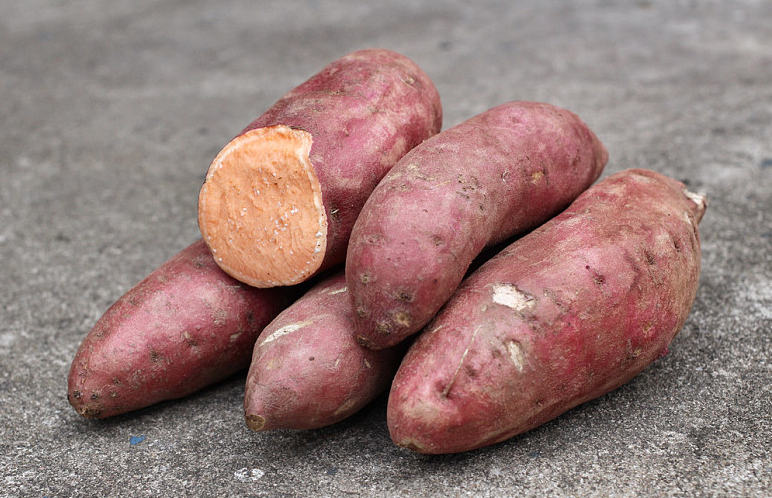 生吃红薯的好处和坏处 生吃红薯增肥还是减肥