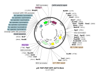 pH-TOP-POP-NTF-ACT2-BirADP00041图谱