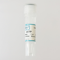 dCTP