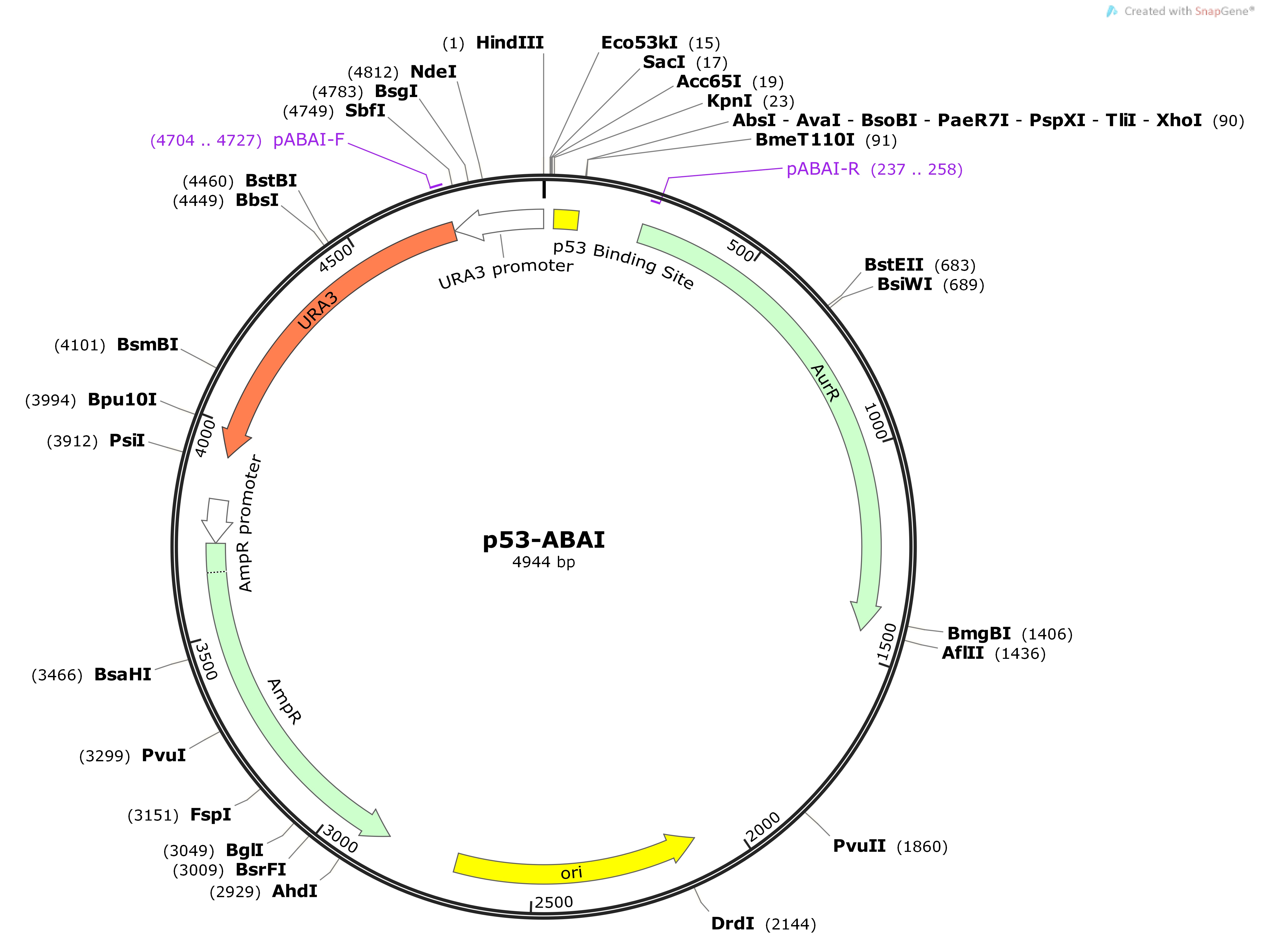 QP1601-p53-ABAIMap