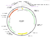 QP1601-p53-ABAIMap