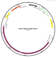 p414-TEF1p-Cas9-CYC1tMap
