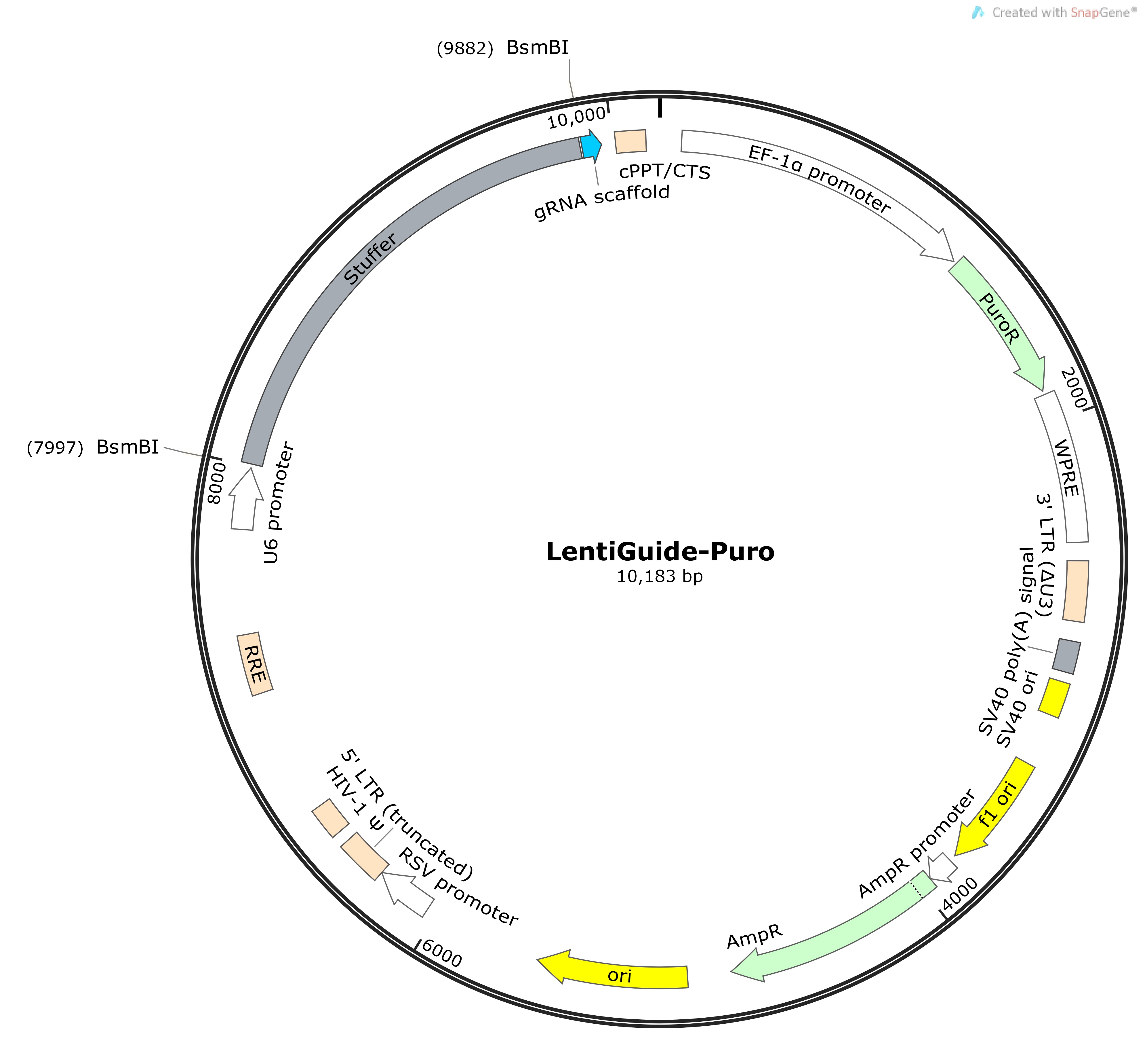 LentiGuide-PuroMap