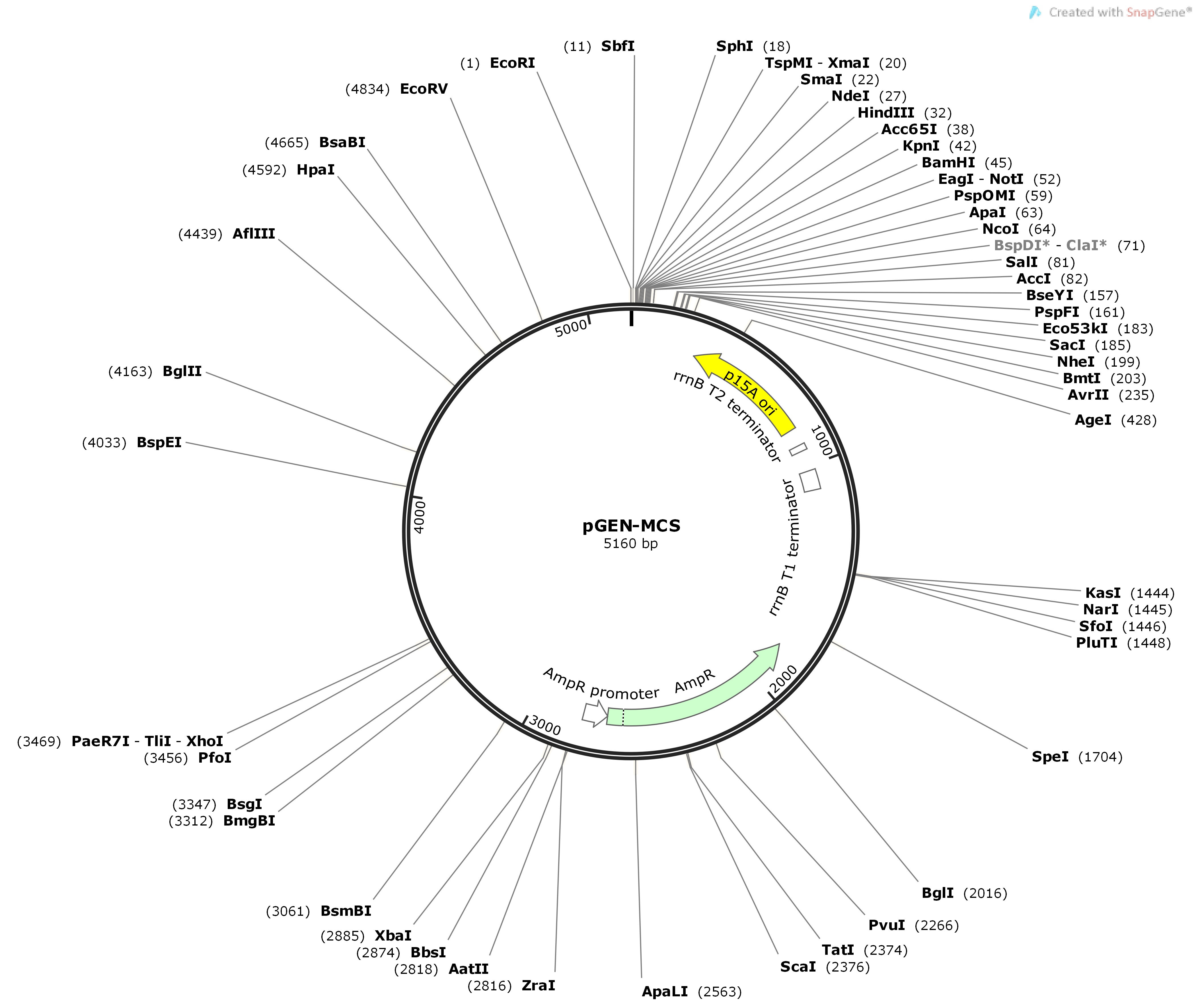 pGEN-MCSMap