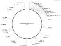 pCMV-SPORT6.1-ZDHHC13-mouseMap