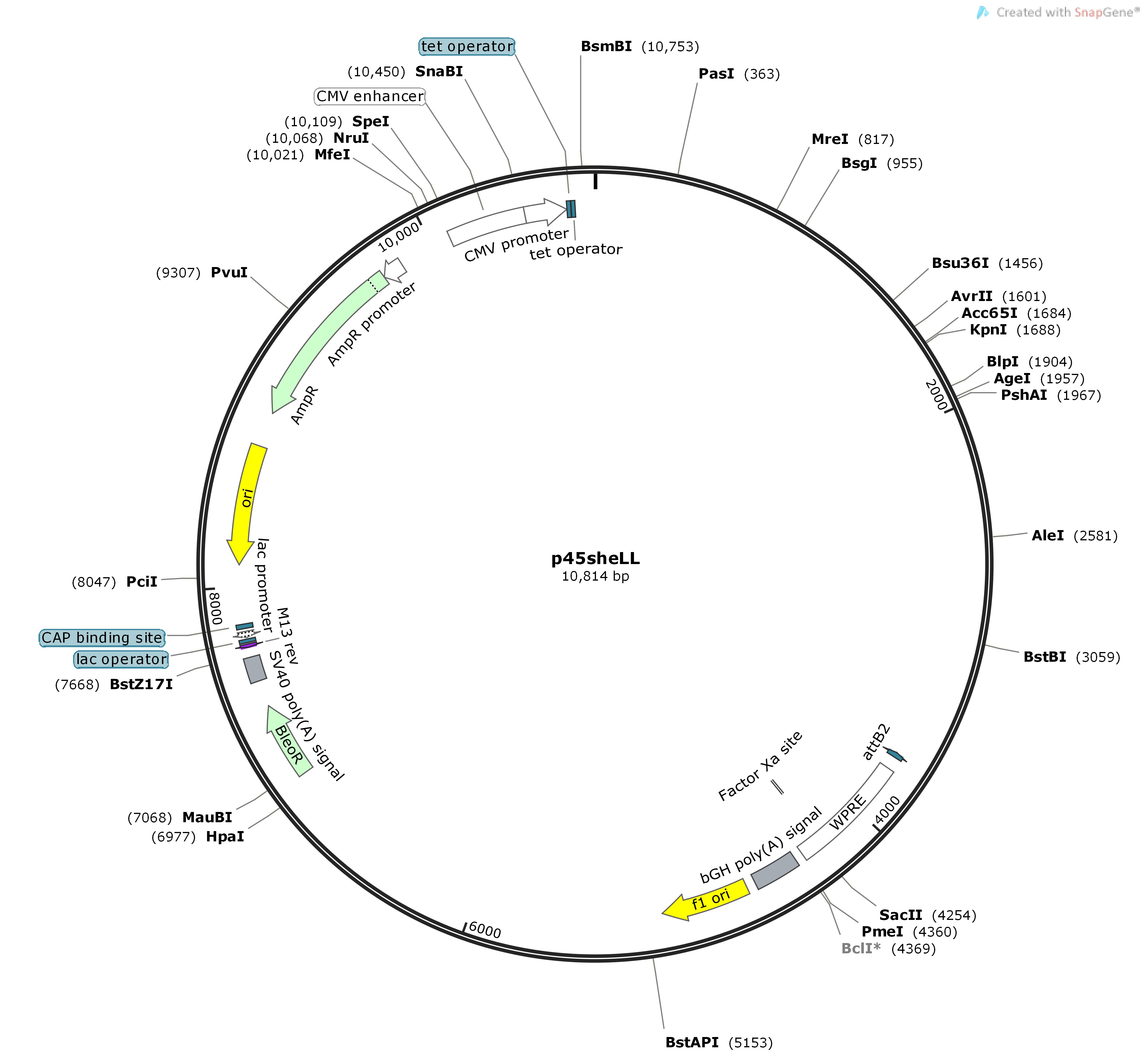 p45sheLLMap