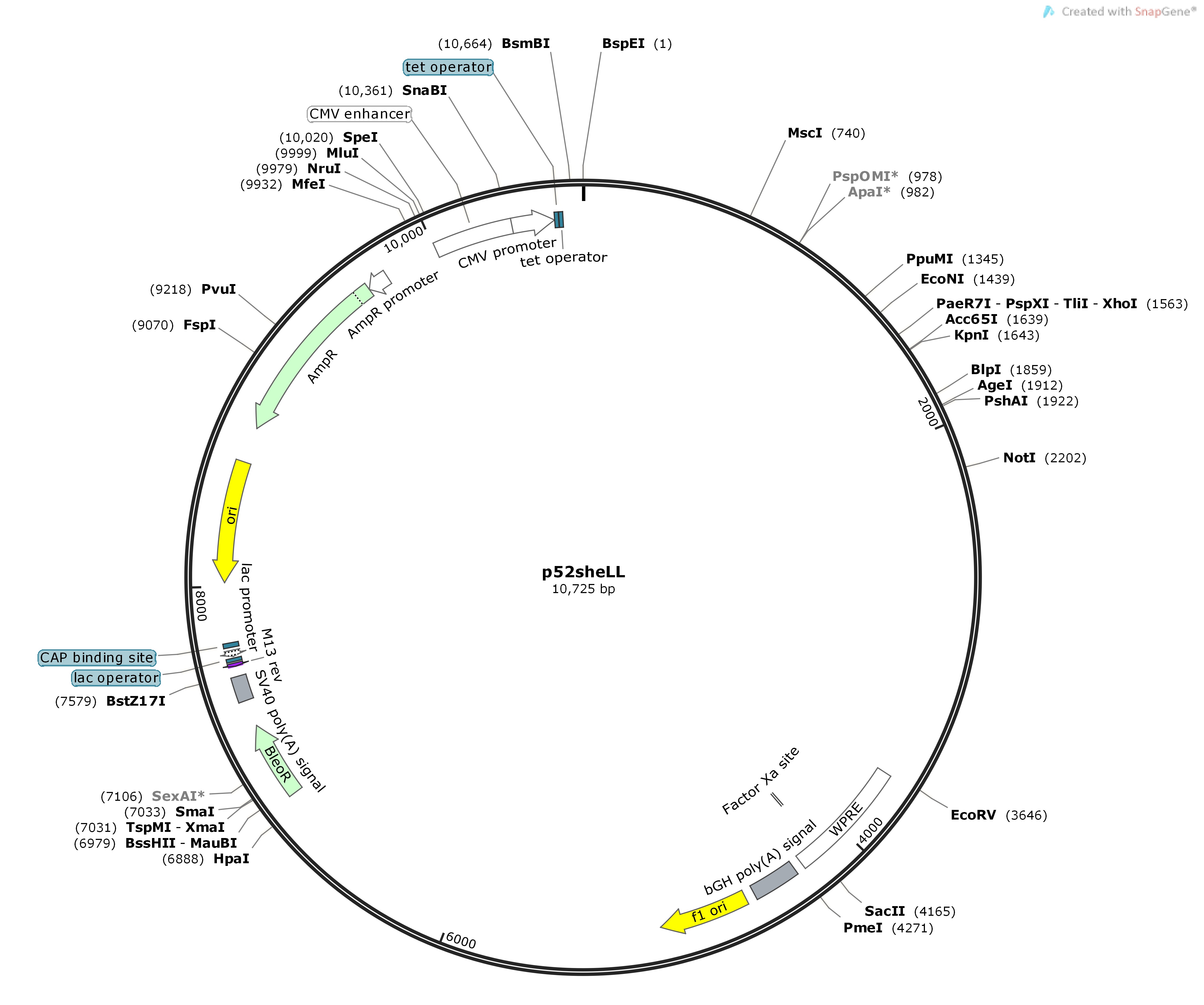 p52sheLLMap