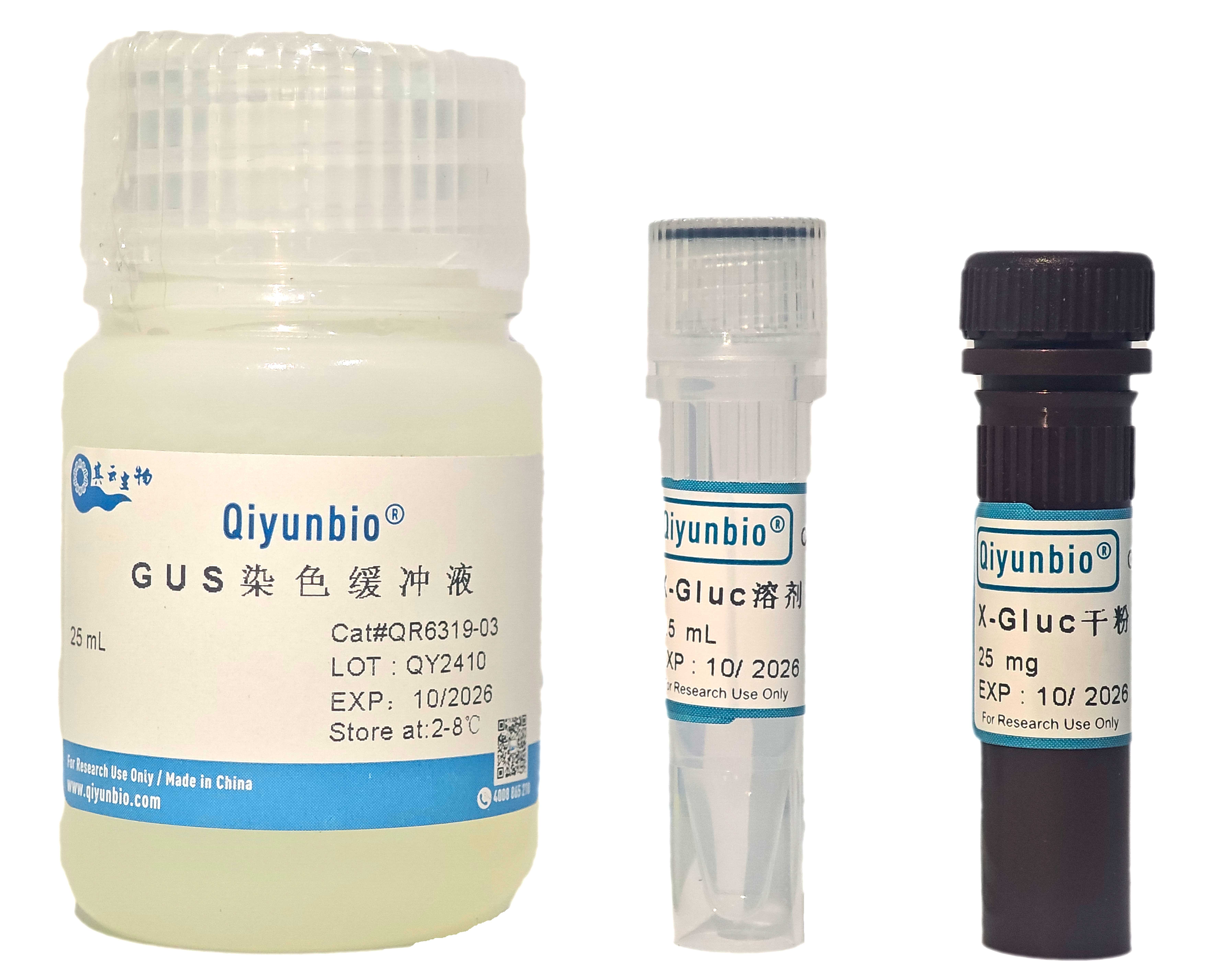 GUS染色试剂盒