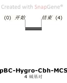 pBC-Hygro-Cbh-MCS