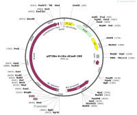 pET28a-6×His-dCas9-20E