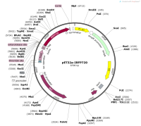 pET32a-IRFP720