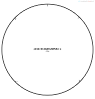 pLVX-S100A9shRNA3-p